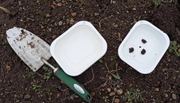 Measure aggregate stability to detect changes in soil health early